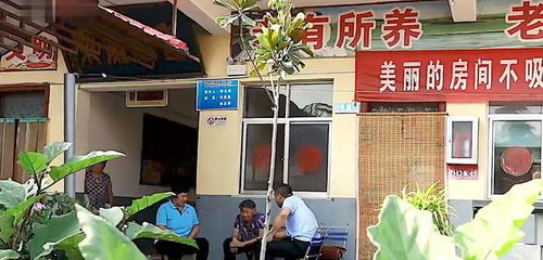 养老院十五年忽思归，子女惊愕方知亡母已逝廿八载