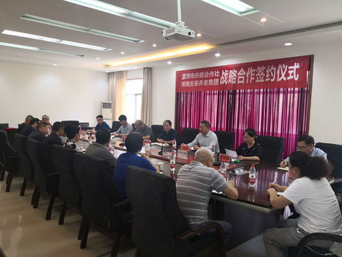 漯河市供销社携手河南安泰养老集团，共筑“河南康乃馨”居家养老服务新篇章