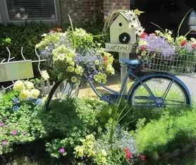 旧居家用品开出了“花”，这创意给满分！河南康乃馨居家养老的巧思与温情